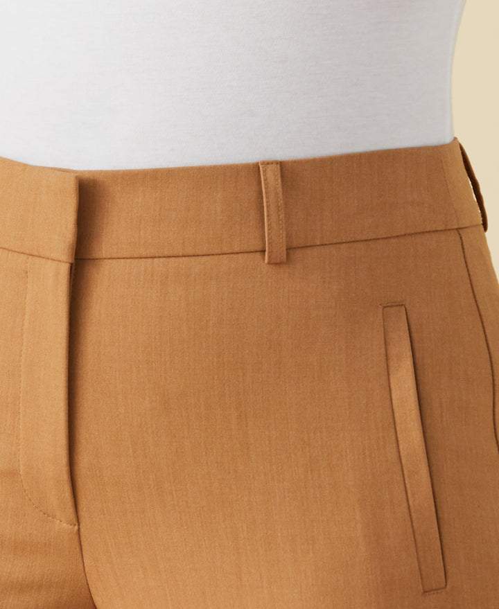 Classic Fit Clean Straight Leg Ankle Pant (Chipmunk) 